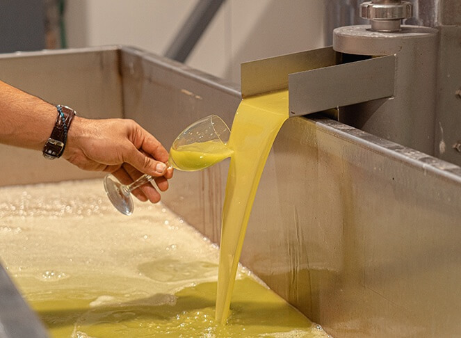 poltakis olive oil about Photo-92